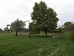 PA247576