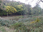 PA247615