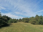 IMG_20201010_121726