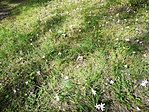 IMG_20201003_125523