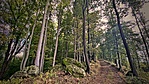 IMG_6948