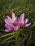 IMG_20201003_125232