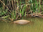 IMG_20201003_131614