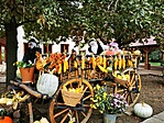 IMG_20201011_095234
