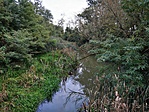 IMG_20201011_173446