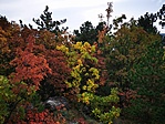 IMG_20201024_101138