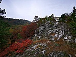 IMG_20201024_101151