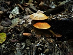 IMG_20201024_105849