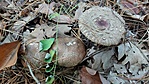 20201026_143531