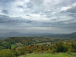 IMG_20201024_140943-01