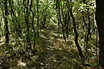 HER_3515_tn