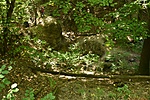 HER_3563_tn