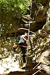 HER_3607_tn