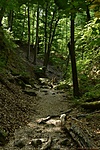 HER_3631_tn