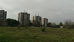 IMAG1220