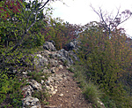 P1210695
