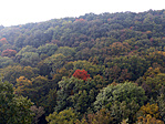 P1210700