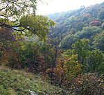 P1210704p