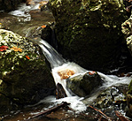 P1210758