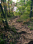 P1210728