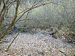 IMG_20201121_101839_1