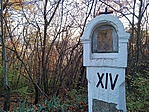 IMG_20201107_152550_5