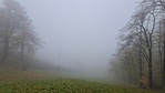 2020-10-31 12.29.31R
