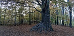 20201030_151713