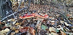 20201030_153103