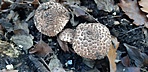 20201107_131639