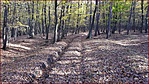 20201107_114329