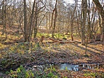 IMG_20201121_102606