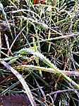 IMG_20201121_103239