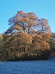 IMG_20201121_103316