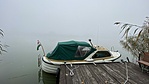 IMG_8471