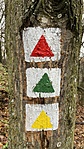 IMG_8488