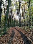 IMG_20201101_155313