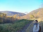 IMG_20201107_133339