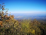IMG_20201107_124618