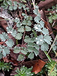 20201114_111639