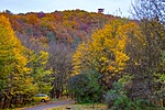 _DSC2350