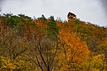 _DSC2318