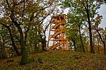 _DSC2335