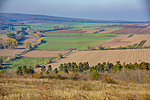 _DSC2359