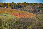 _DSC2352
