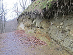 IMG_0447