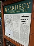 IMG_20201011_141329