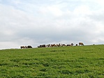 IMG_20201023_140159