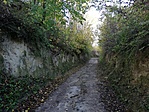 IMG_20201106_081537