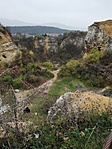 IMG_20201115_115749